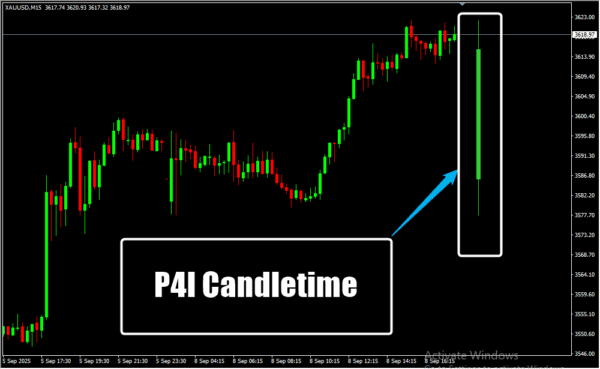 P4l Candletime