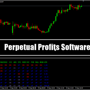 Perpetual Profits Software