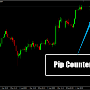 Pip Counter