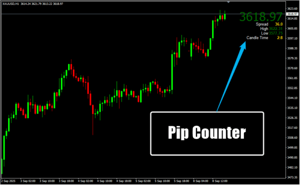 Pip Counter