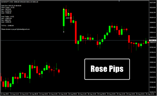 Rose Pips