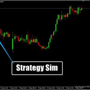 Strategy Sim