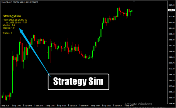 Strategy Sim