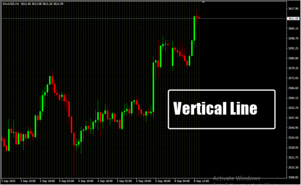 Vertical Line