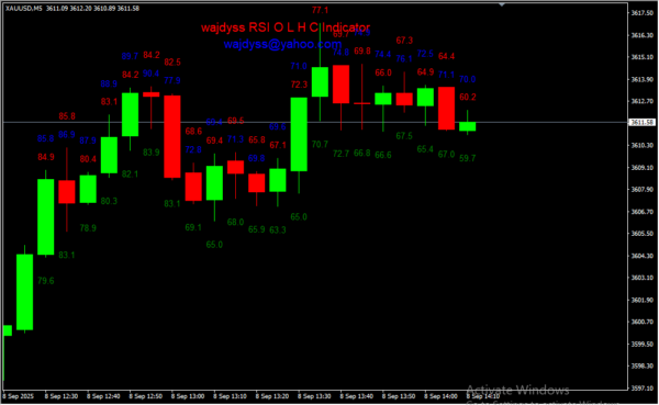 Wajdyss Rsi OLHC 2