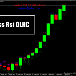 Wajdyss Rsi OLHC