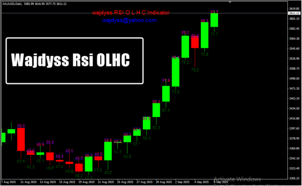 Wajdyss Rsi OLHC