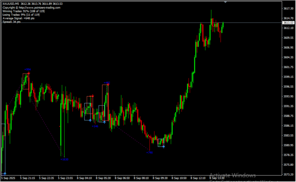 ZP Day Trading 2