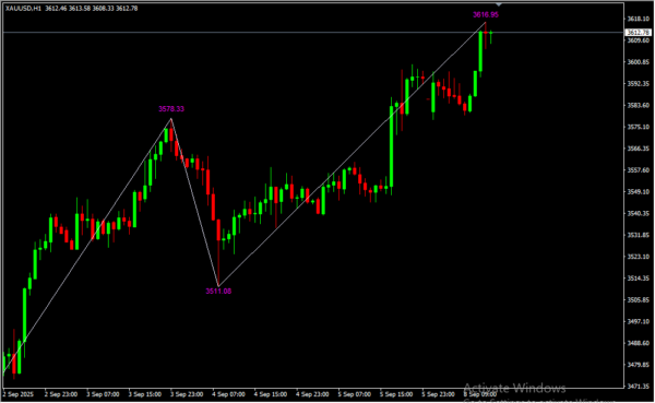 Zig Zag Value 2