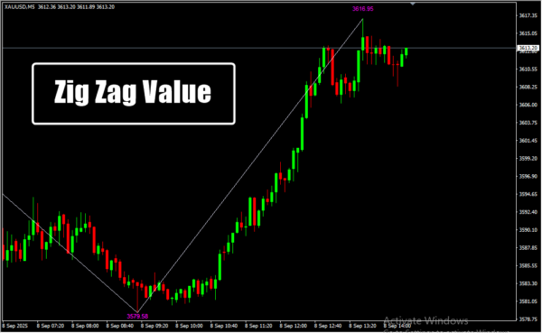 Zig Zag Value